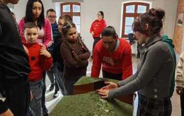 IMG-20251214-WA0034