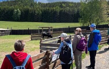 IMG-20260522-WA0018