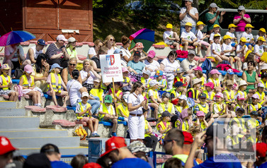 RR_24_059652