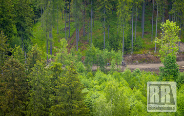 RR_24_060133