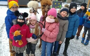 IMG_20240115_114816