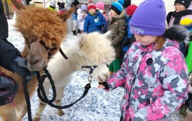 IMG_20240115_113148
