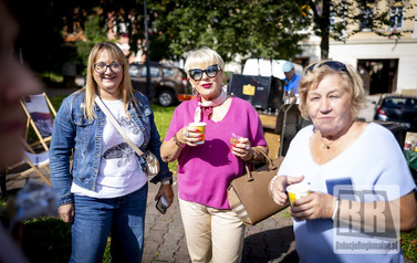 RR_24_067510