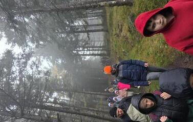 Wołek 6