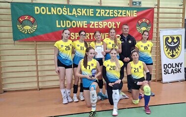 Sokoliki