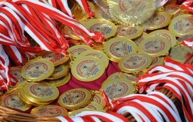 457553424_902174455263058_8424319610587256203_n
