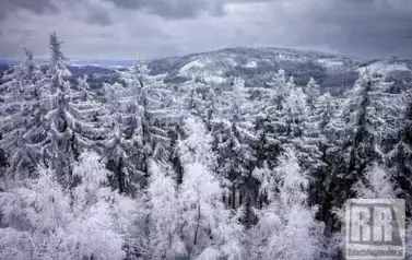 RR_24_021164