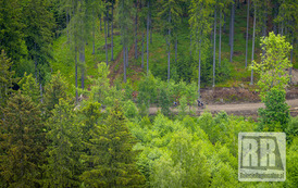 RR_24_060133