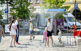 RR_24_062377