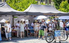 RR_24_062370
