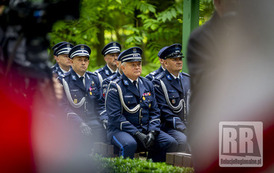 RR_24_064182