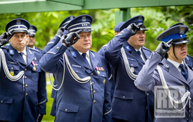 RR_24_064164