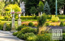 RR_24_064890