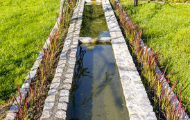 RR_24_064888