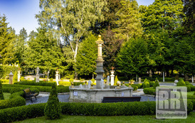RR_24_064886