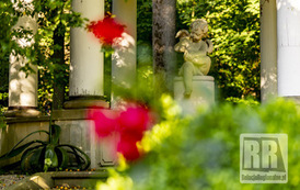 RR_24_064883