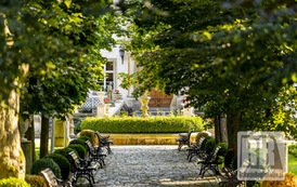 RR_24_064849