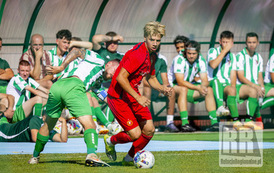 RR_24_065995