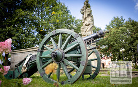 RR_24_067519