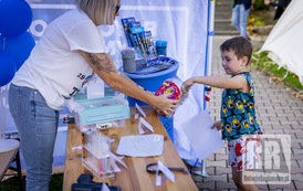 RR_24_067508