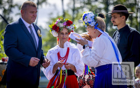 RR_24_067950