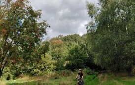 IMG-20260917-WA0031