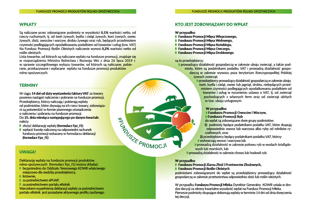 1725601892146-21126392-24ed-4817-993f-93b9e8a31f52_2