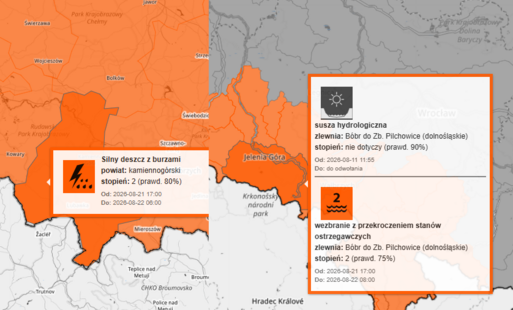 Zdjęcie do Ostrzeżenia meteorologiczne: silny deszcz z burzami - stopień 2 / hydrologiczne - stopień 2